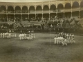 San Sebastián : danzas populares en la plaza de toros