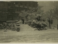 San Sebastián : jardines de la calle Reina Regente nevados