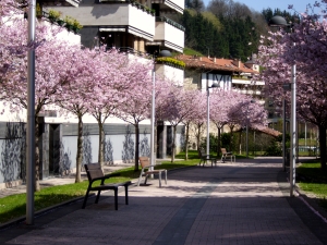 Udaberria