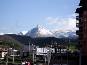 Nire lehiotik