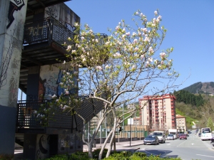 Udaberria