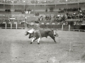 EL TORERO MEXICANO RODOLFO RODARTE TOREANDO EN LA PLAZA DE TOROS DE TOLOSA. (Foto 1/2)