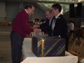 Acto de entrega de diplomas
