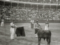 ESCENAS DE ESPECTACULO COMICO TAURINO EN LA PLAZA DE TOROS DE "EL TXOFRE". (Foto 13/19)
