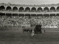 ESCENAS DE ESPECTACULO COMICO TAURINO EN LA PLAZA DE TOROS DE "EL TXOFRE". (Foto 15/19)
