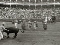 ESCENAS DE ESPECTACULO COMICO TAURINO EN LA PLAZA DE TOROS DE "EL TXOFRE". (Foto 16/19)