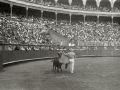 ESCENAS DE ESPECTACULO COMICO TAURINO EN LA PLAZA DE TOROS DE "EL TXOFRE". (Foto 17/19)
