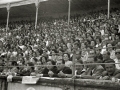 ESCENAS DE ESPECTACULO COMICO TAURINO EN LA PLAZA DE TOROS DE "EL TXOFRE". (Foto 18/19)