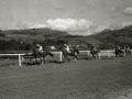 ESCENAS DE LAS CARRERAS DE CABALLOS EN EL HIPODROMO DE LASARTE. (Foto 1/27)