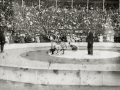 ESPECTACULO CIRCENSE EN UNA PLAZA DE TOROS. (Foto 1/3)