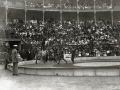ESPECTACULO CIRCENSE EN UNA PLAZA DE TOROS. (Foto 3/3)