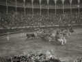 ESPECTACULO COMICO TAURINO EN LA PLAZA DE TOROS DE "EL TXOFRE". (Foto 1/7)
