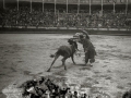 ESPECTACULO COMICO TAURINO EN LA PLAZA DE TOROS DE "EL TXOFRE". (Foto 5/7)