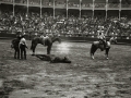 ESPECTACULO DE RODEO EN LA PLAZA DE TOROS DE "EL TXOFRE". (Foto 1/3)