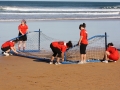 Playeroak