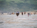 Zarauzko Zaldi lasterketa 2010