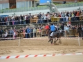 Zarauzko zaldi lasterketa 2010