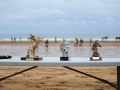 Zarauzko zaldi lasterketa 2010