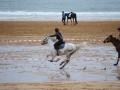 Zarauzko zaldi lasterketa 2010
