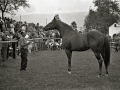 EXHIBICION DE CABALLOS EN LA YEGUADA MILITAR DE LORE-TOKI EN HERNANI. (Foto 9/12)