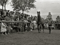 EXHIBICION DE CABALLOS EN LA YEGUADA MILITAR DE LORE-TOKI EN HERNANI. (Foto 10/12)