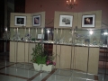 Piedras y minerales expuestos en vitrinas