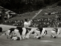 FESTIVAL INTERNACIONAL DE FOLCLORE VASCO EN EL VELODROMO DE ANOETA. (Foto 16/28)