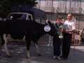 Entrega de trofeos del concurso de ganado. A la derecha del niño, Eli Galdos
