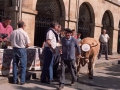 Primer premio del concurso de ganado