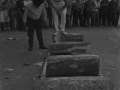 Aizkolari cortando troncos