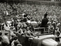 FIESTAS DE CARNAVAL EN LA PLAZA DE TOROS DE TOLOSA. (Foto 1/5)