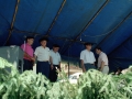 Grupo de hombres sobre un escenario