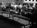 Feria de productos agrícolas en las fiestas