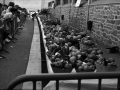 Feria de productos agrícolas en las fiestas