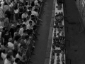 Feria de productos agrícolas