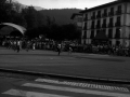 Pottokas en la plaza de los Fueros