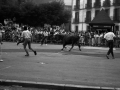 Vaquillas en la plaza de los Fueros