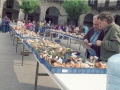 Exposición de setas en la plaza de los Fueros