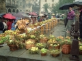 Muestra de frutas y verduras : en los cestos, manzanas y peras