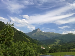 TXINDOKI GOROSKINDEGITIK IKUSITA