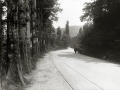 FOTOGRAFIAS DE LAS LOCALIDADES POR DONDE PASA EL CIRCUITO AUTOMOVILISTICO DE LASARTE. (Foto 16/16)