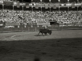 FRANCISCO FRANCO Y SU ESPOSA, CARMEN POLO, EN LA PLAZA DE TOROS "EL TXOFRE", EN UNA CORRIDA DE LA FERIA DE ABONO DE SEMANA GRANDE. (Foto 4/5)
