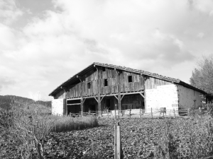 Igartubeiti Baserri Museoa.