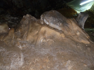 Roca del interior de la cueva