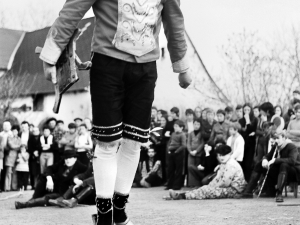 Altzürüküko gatüzaina Mendikotan