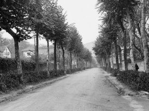 Zarauzko ikuspegia.