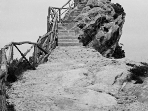 Erregearen ikustokia