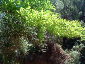 Talaia: ruta de la costa guipuzcoana