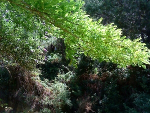 Talaia: ruta de la costa guipuzcoana