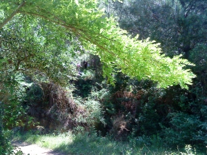 Talaia: ruta de la costa guipuzcoana